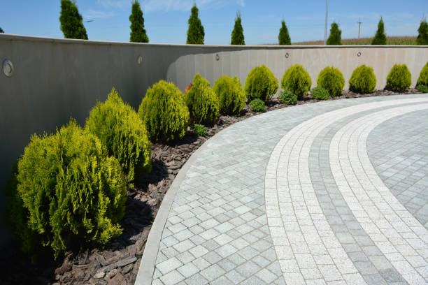 Best Best Driveway Pavers  in USA